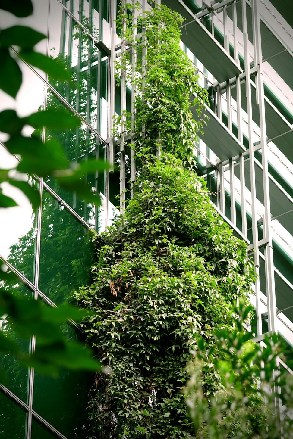 Sustainable Design